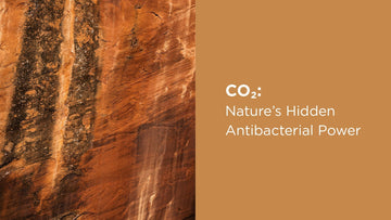 CO2: Nature’s Hidden Antibacterial Power