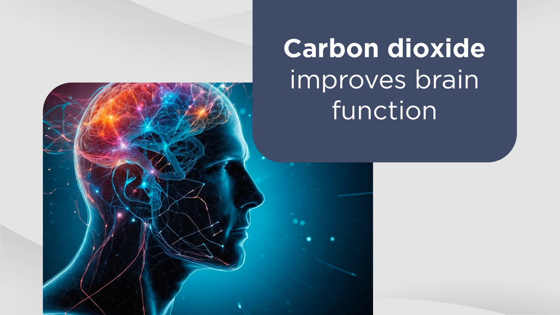 Carbon dioxide improves brain function