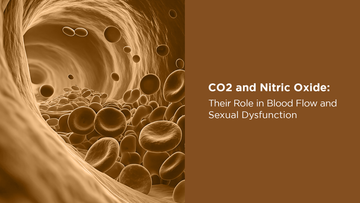 CO₂ and Nitric Oxide: Their Role in Blood Flow and Sexual Dysfunction