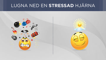 Lugna ned en stressad, överhettad hjärna