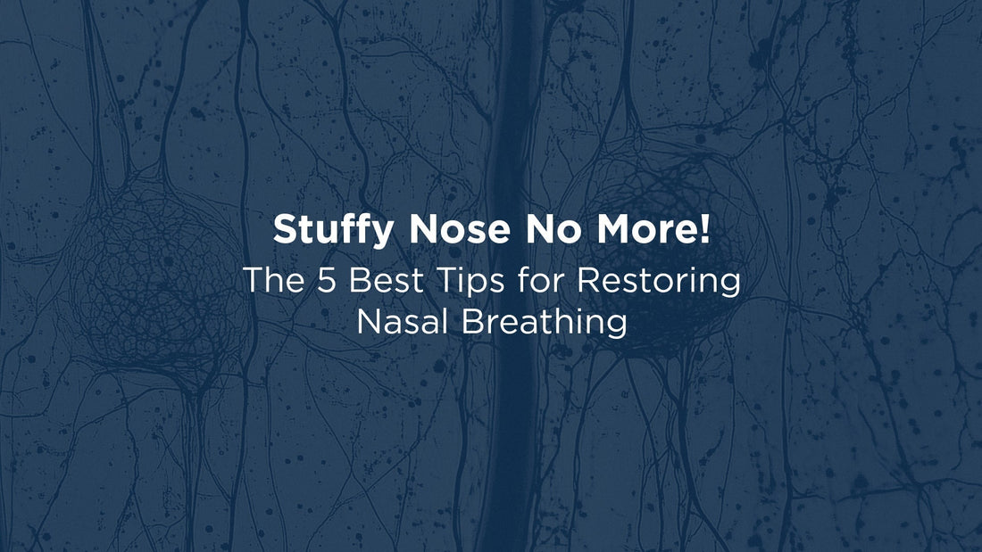 Stuffy Nose No More! The 5 Best Tips for Restoring Nasal Breathing