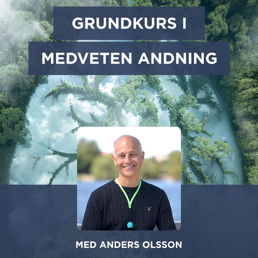 Grundkurs Medveten Andning